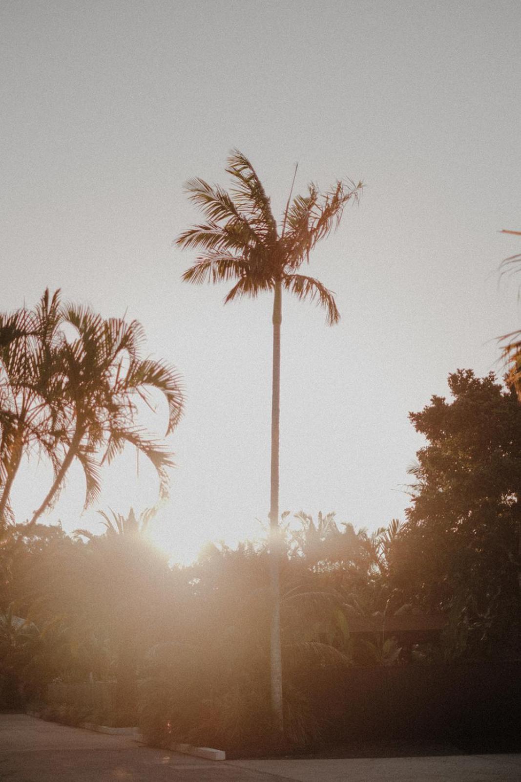 Hotel The Bower Byron Bay Exteriér fotografie
